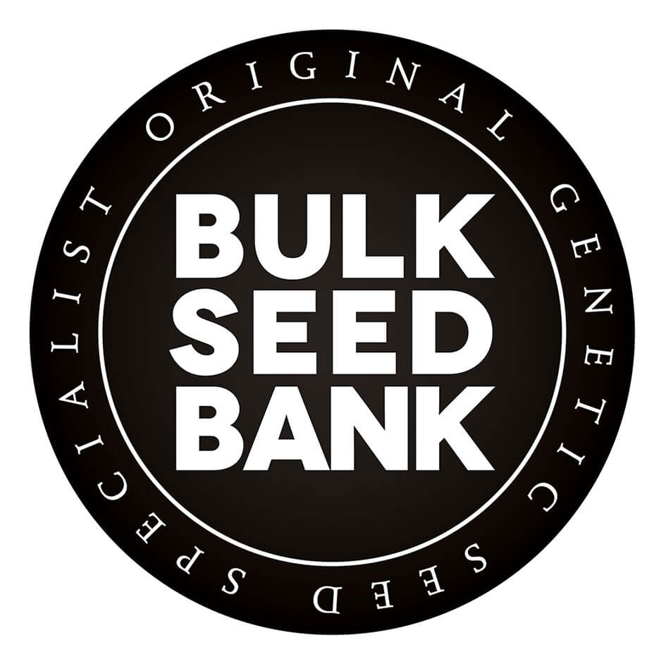 Bulk Seed Bank - Autoflower semena konoplje - Feminizirana semena konoplje