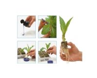 Clonex  15 ml