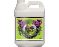 Big Bud 10 L