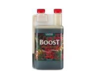 Canna Boost  1 L