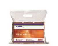 Plagron Cocos Brix 6 kos