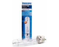 dPapillon  315 W