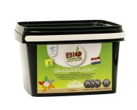 Silicium Flash 1250 g