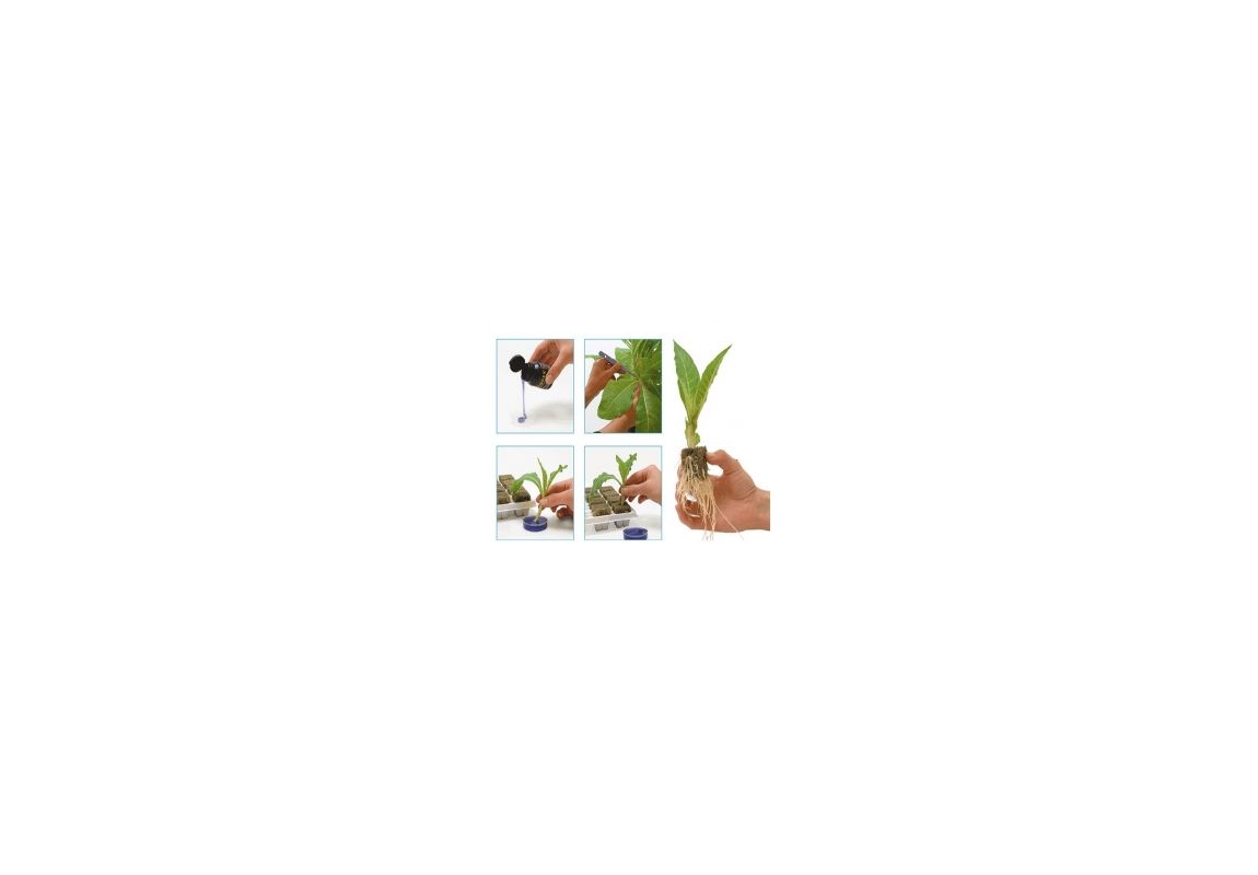 Clonex  15 ml