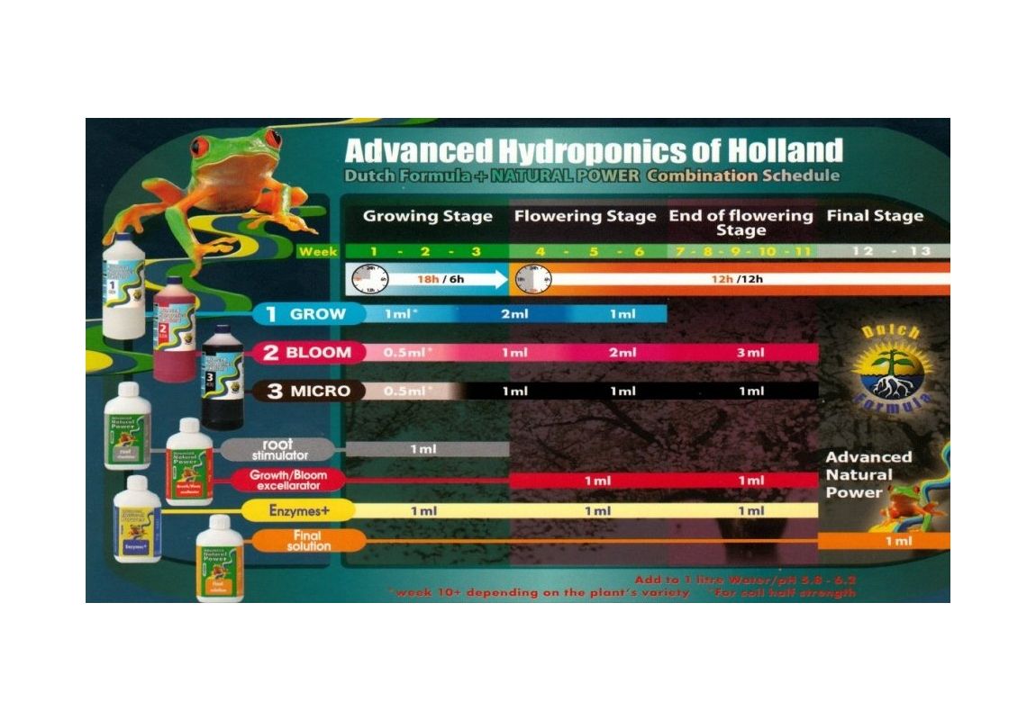 Dutch Formula Grow   1 L