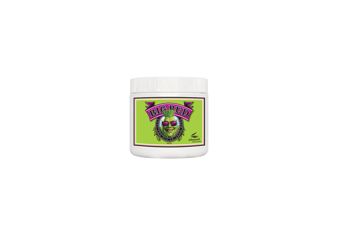 Big Bud Powder 500 G