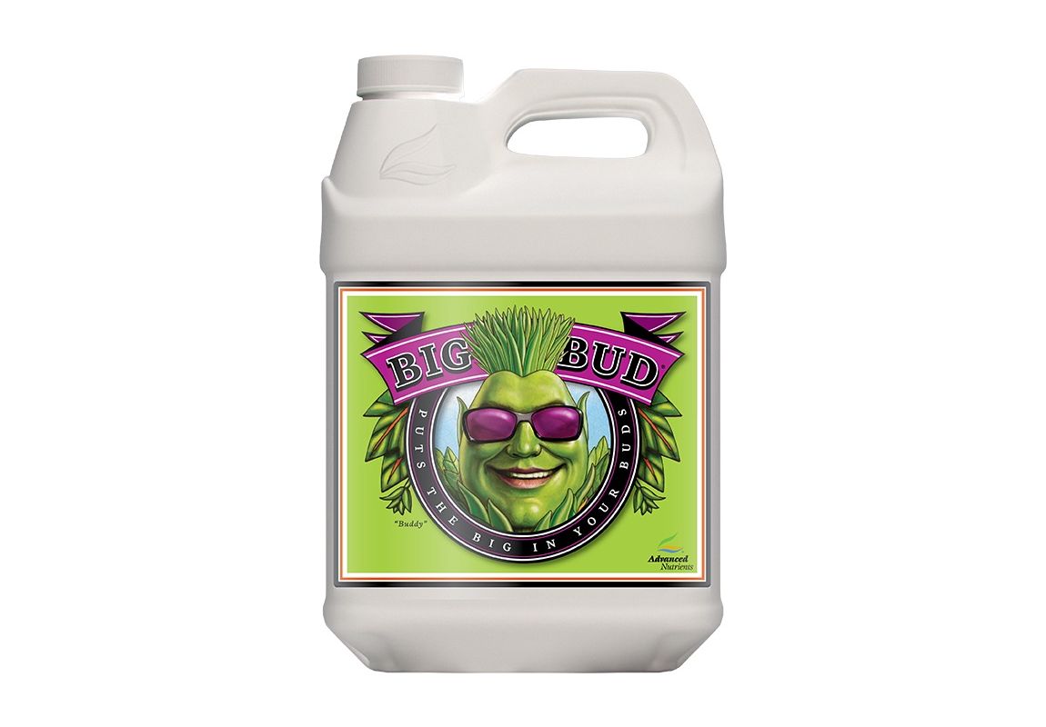 Big Bud 10 L
