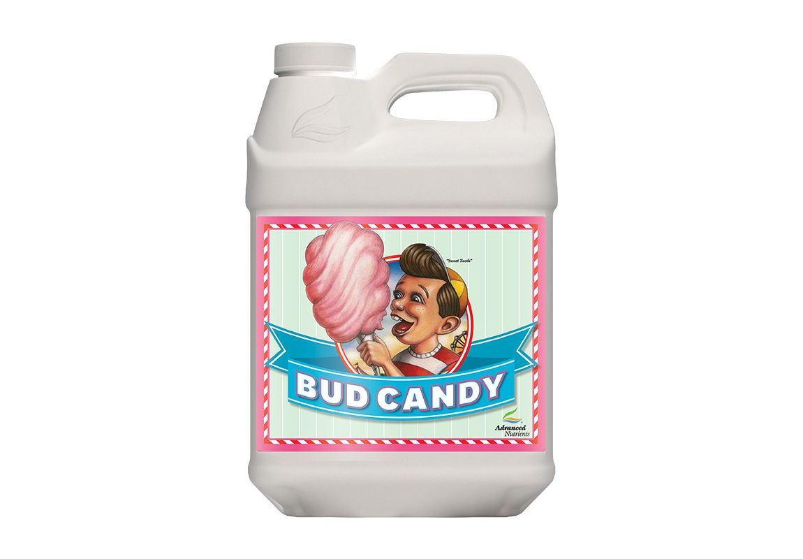 Bud Candy 10 L