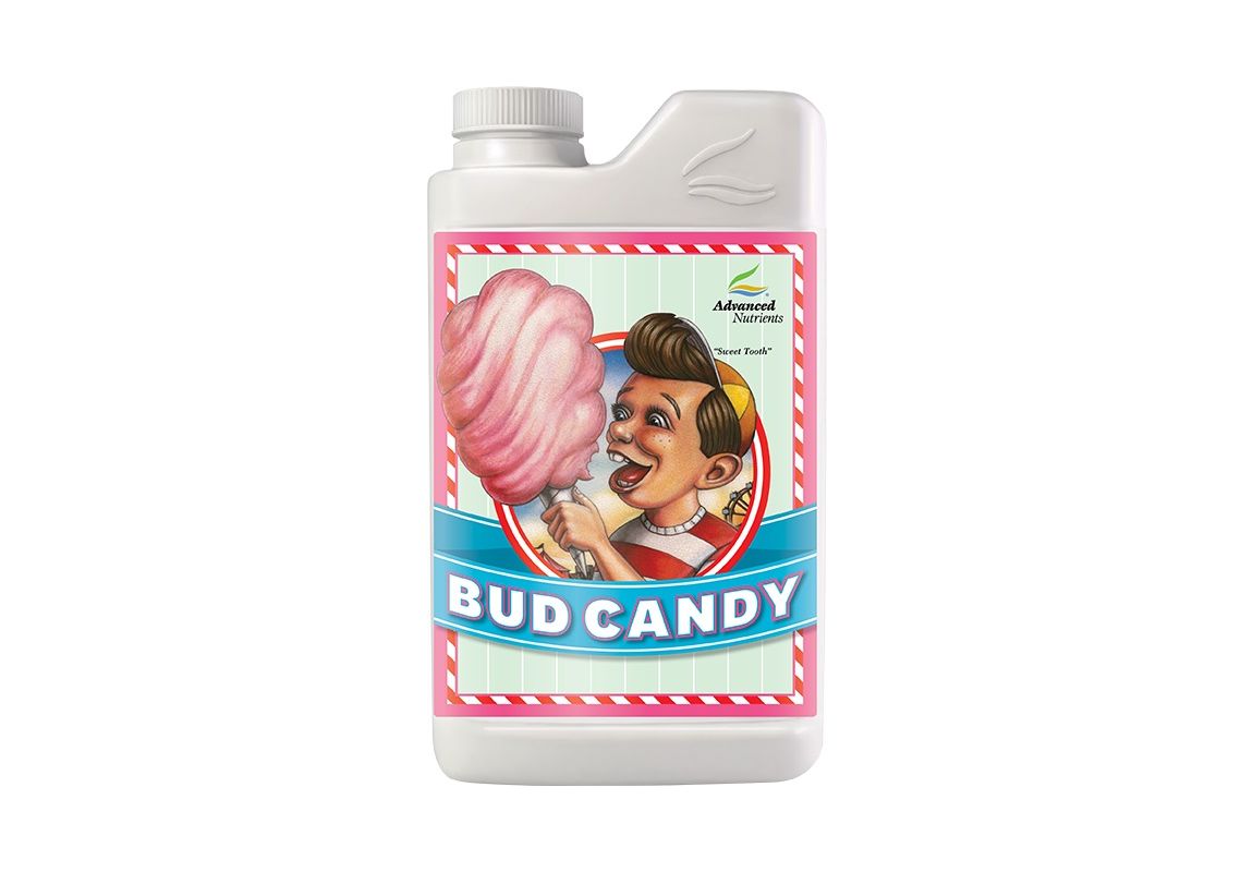 Bud Candy 1 L