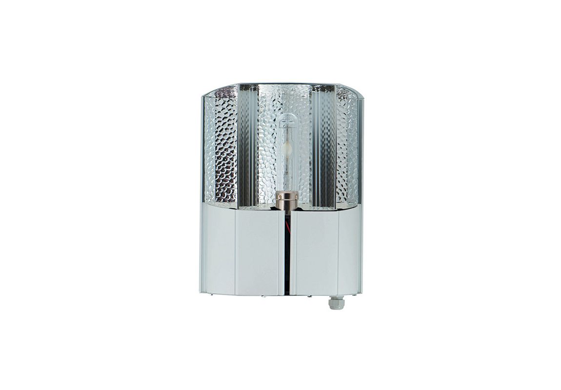 dPapillon  315 W