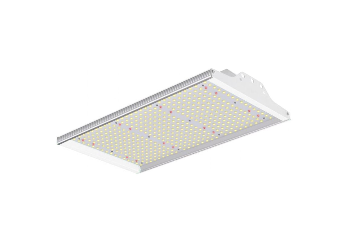 ECO 100 W LED