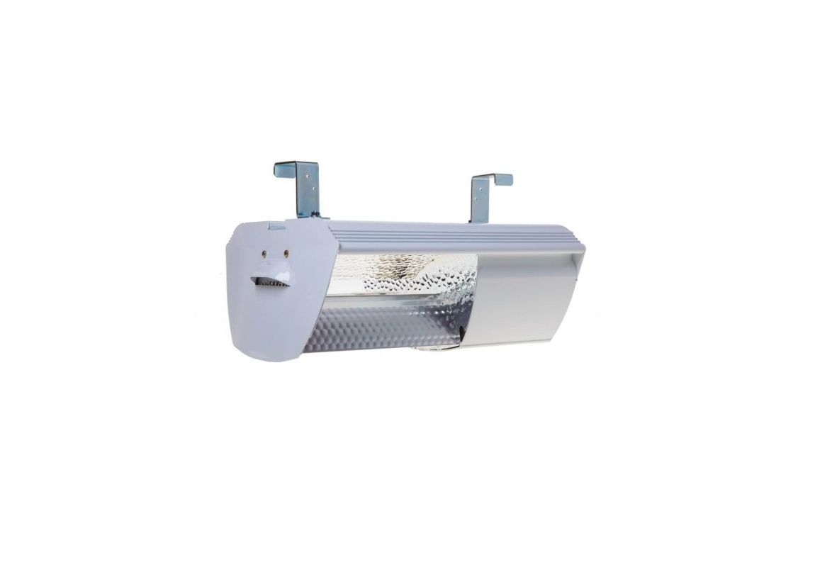 dPapillon  315 W