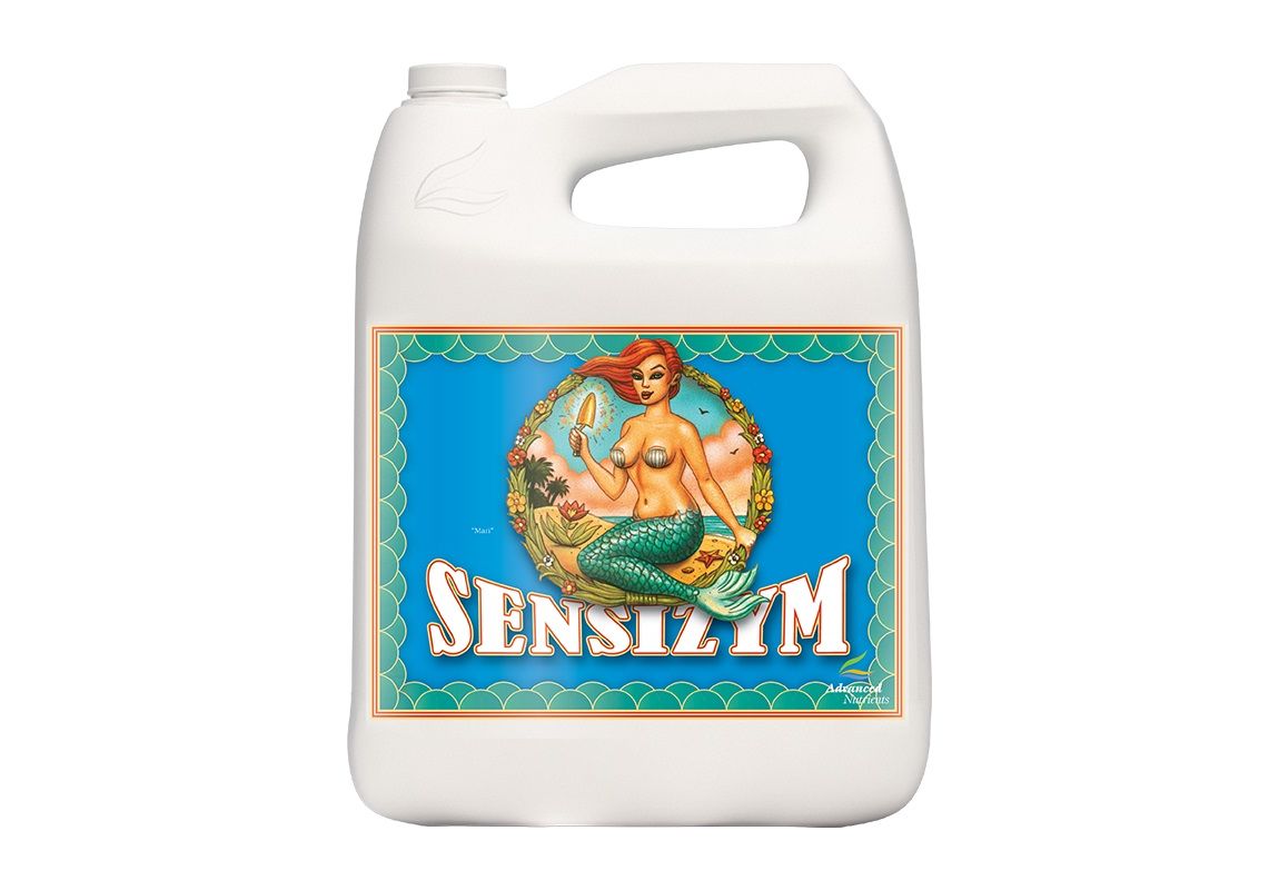 Sensizym 5 L