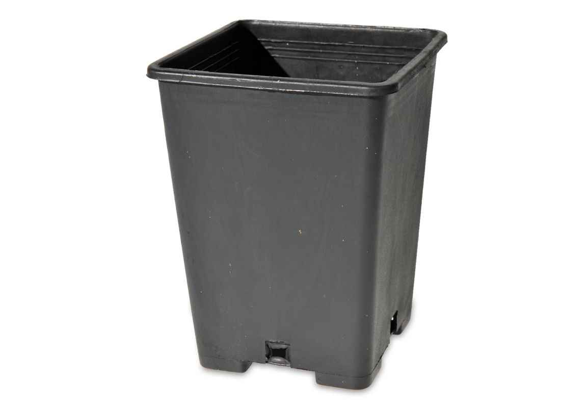 Vaza 13 x 13 x 18 cm  2,5 L