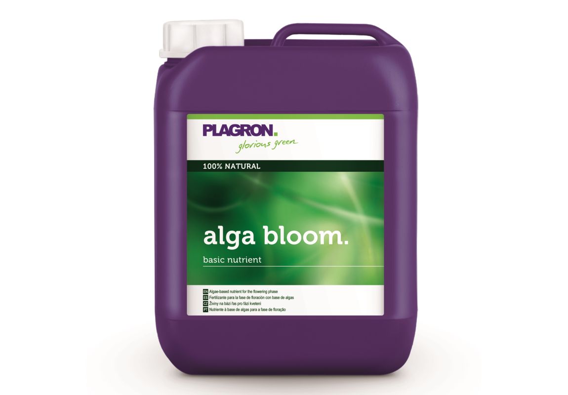 Plagron Alga Bloom 5 L