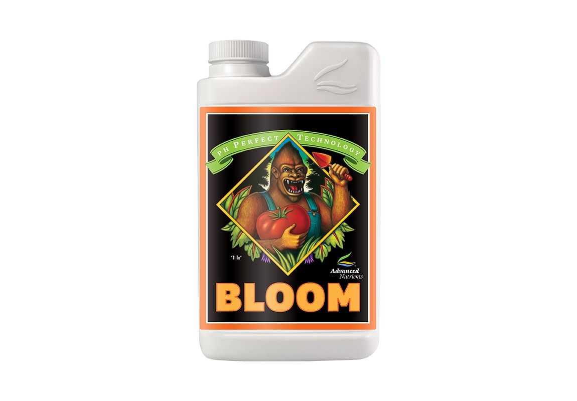 pH Perfect Bloom 1 L