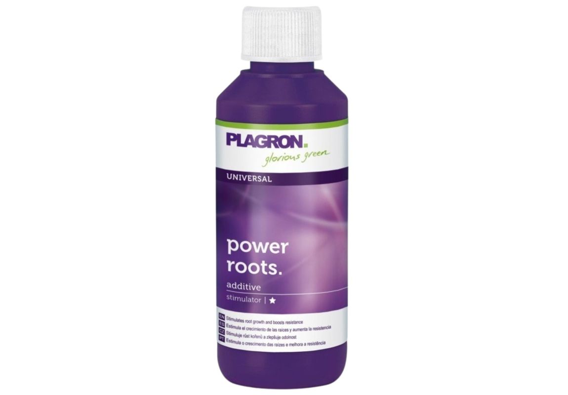 Plagron Power Roots  100 ml