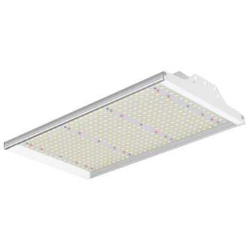 ECO 100 W LED