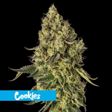Peach Cake by Cookies