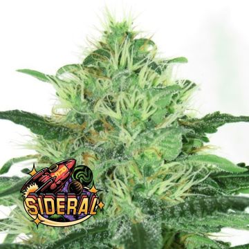 Sideral