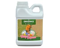 Tasty Terpenes OG Organics 500 ml (ex Nirvana)