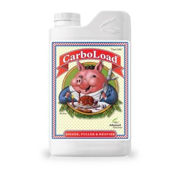 CarboLoad 1 L