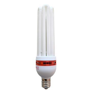 Pure Light Greenpower CFL 200 W Dual 2700 K / 6400 K